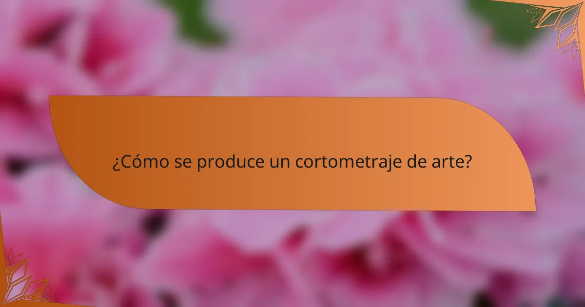 ¿Cómo se produce un cortometraje de arte?