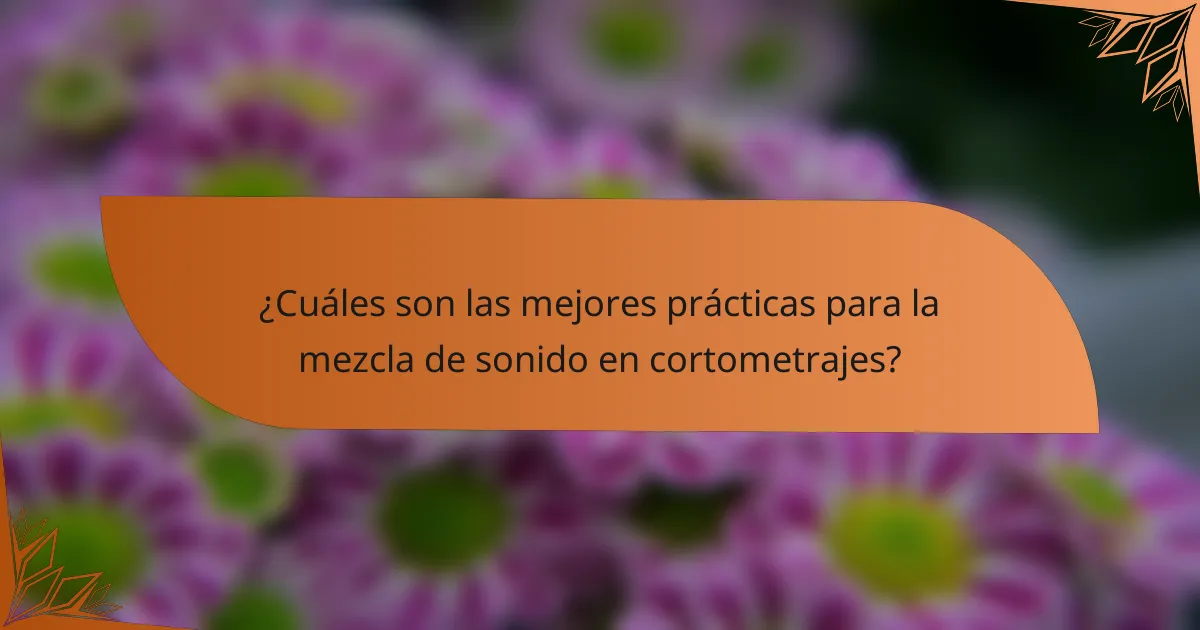 ¿Cuáles son las mejores prácticas para la mezcla de sonido en cortometrajes?