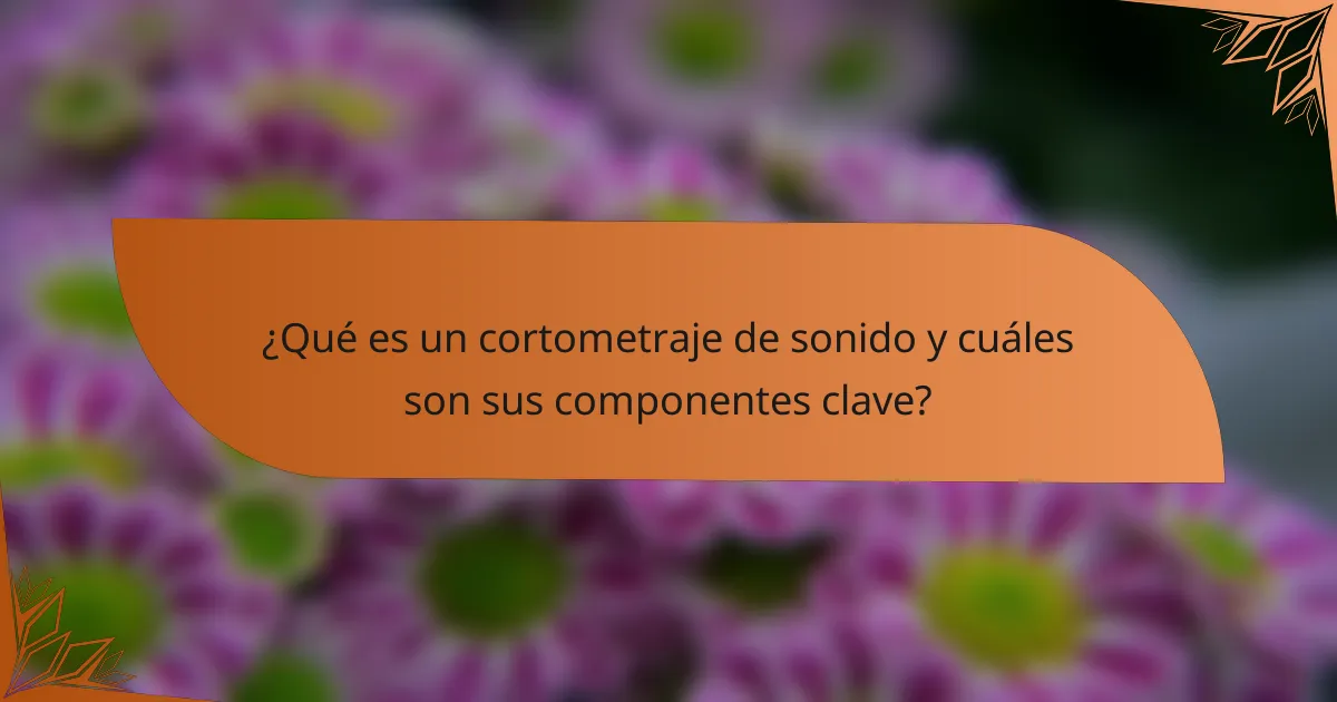 ¿Qué es un cortometraje de sonido y cuáles son sus componentes clave?