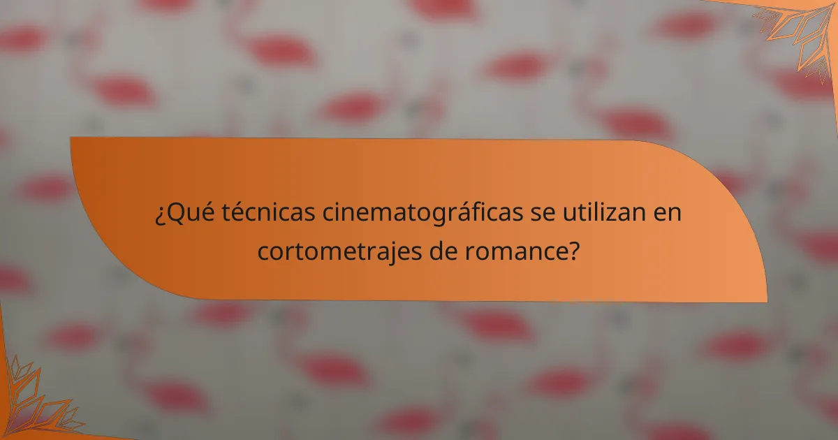 ¿Qué técnicas cinematográficas se utilizan en cortometrajes de romance?